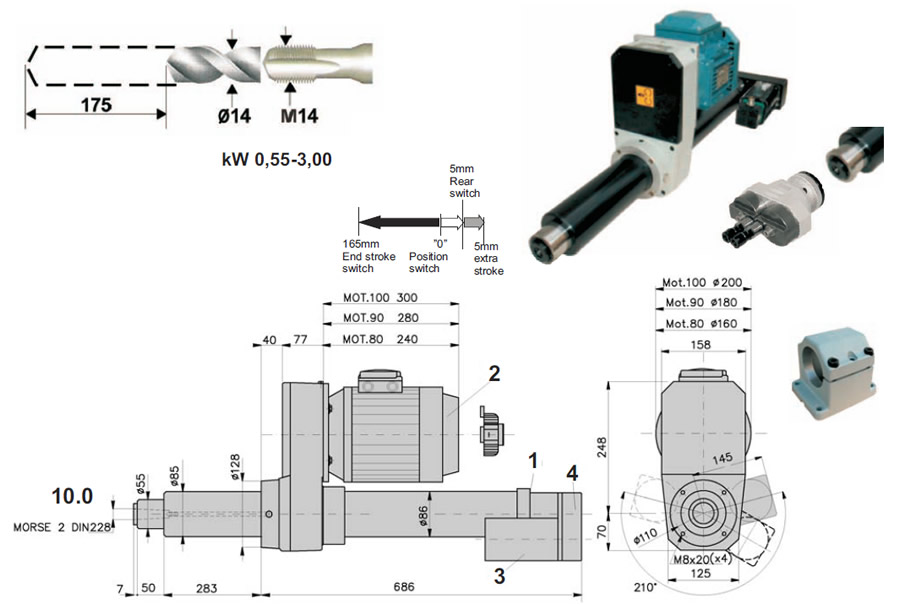 �ŷ�������׹�˿����ͷ