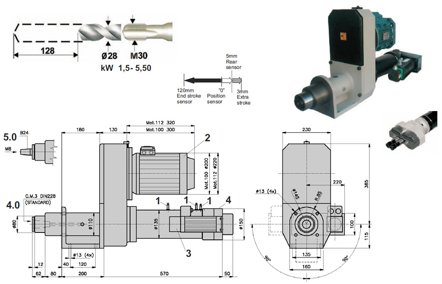 �ŷ�������׹�˿����ͷ